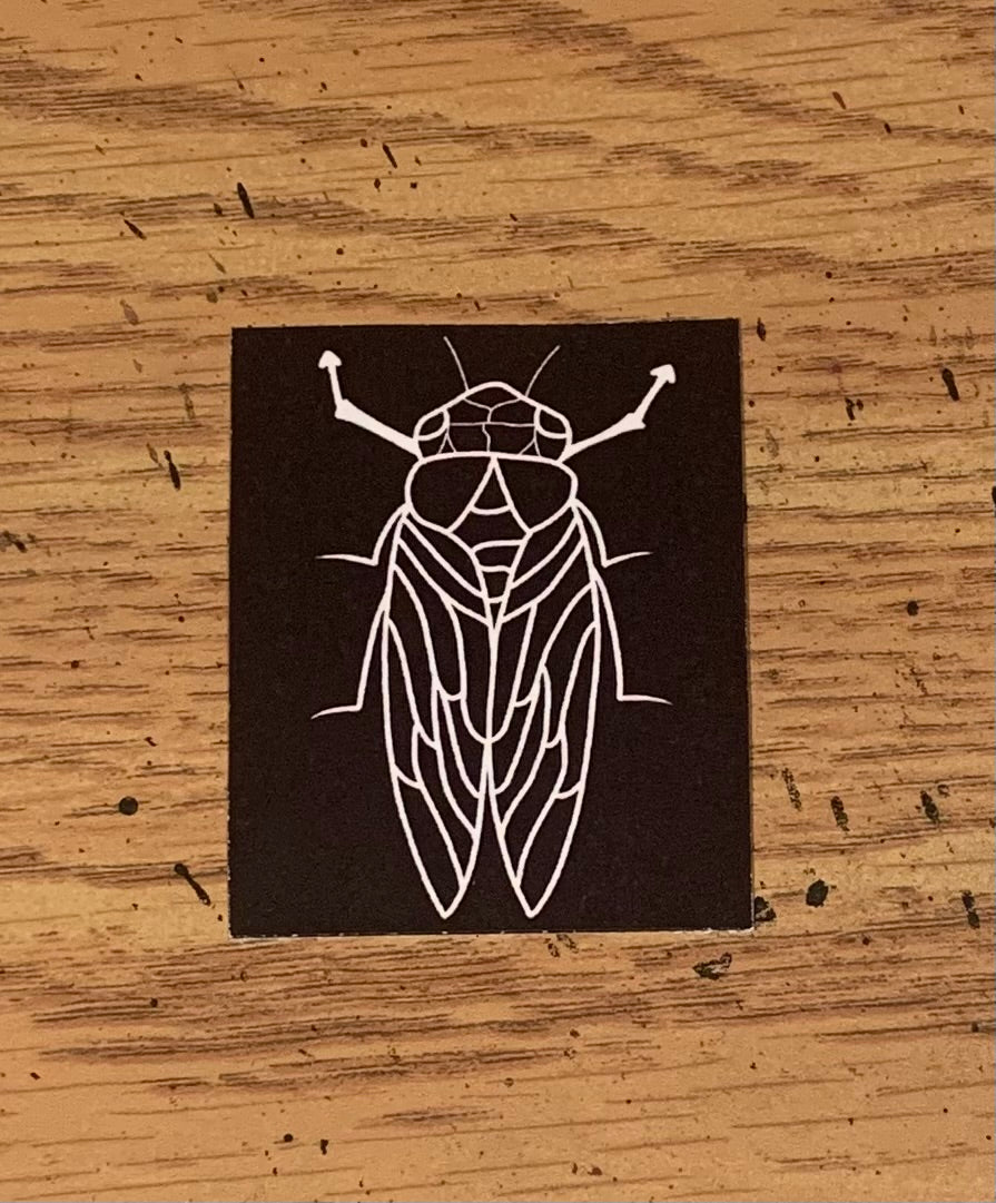 Antenna Sierra Cicada Print