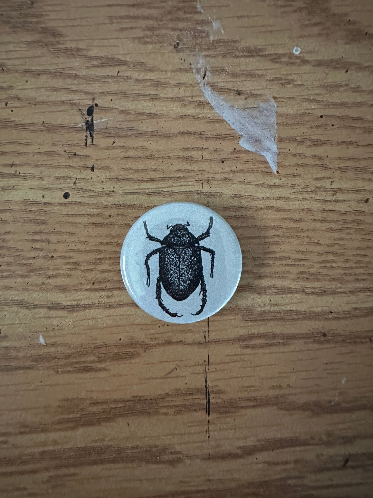 Beetle Button